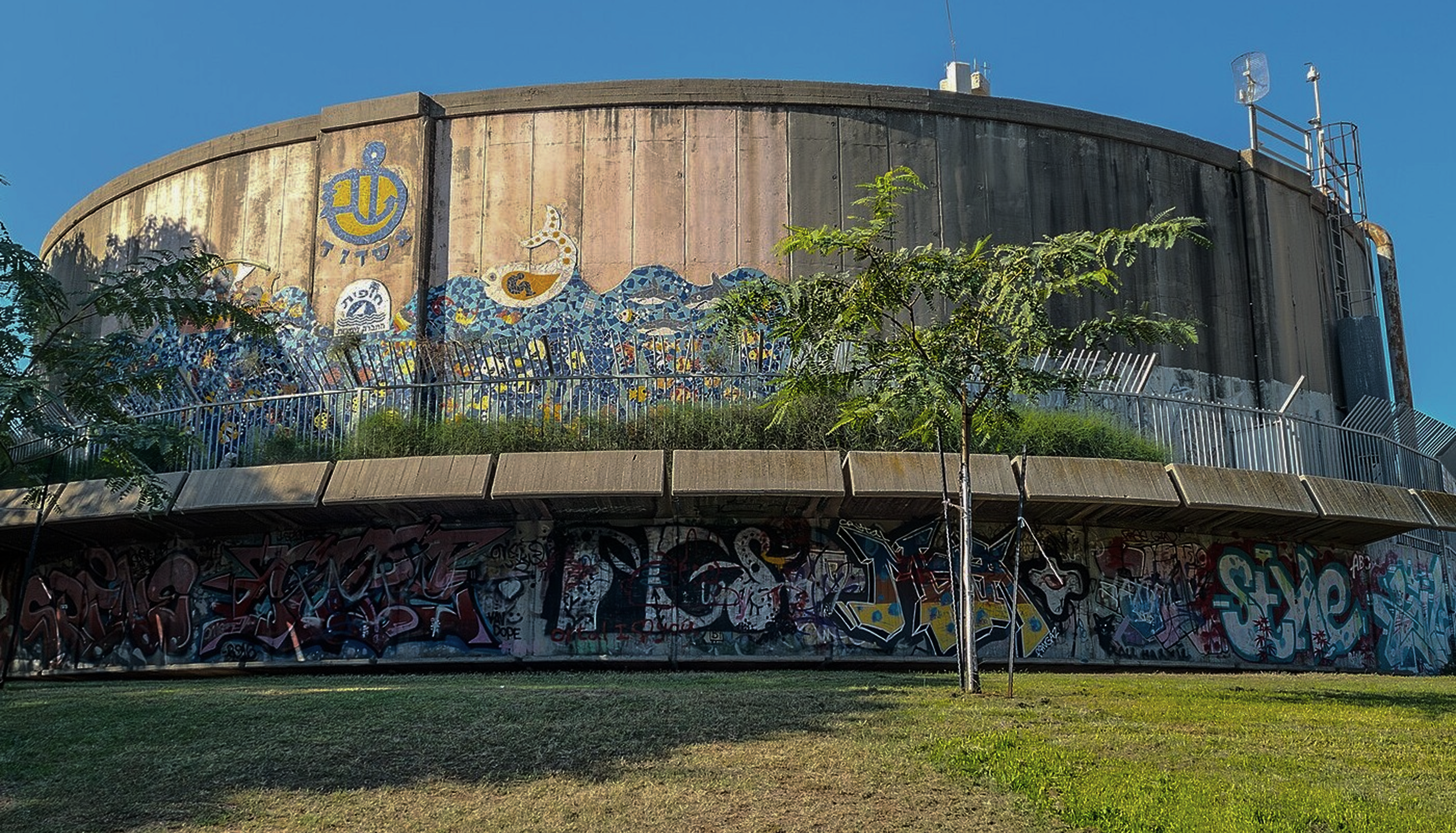 Sesc grafite